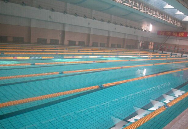 廣州珠島賓館康樂(lè)中心游泳池為室內(nèi)恒溫標(biāo)準(zhǔn)泳池，泳池水處理系統(tǒng)采用西班牙ASTRALPOOL品牌泳池設(shè)備，恒溫系統(tǒng)采用西班牙ASTRALPOOL品牌空氣源熱泵和三集一恒溫除濕一體機(jī)，我司提供技術(shù)支持及設(shè)備安裝服務(wù)。